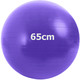 GMA-65-D Мяч гимнастический "Anti-Burst"  65 см (фиолетовый)